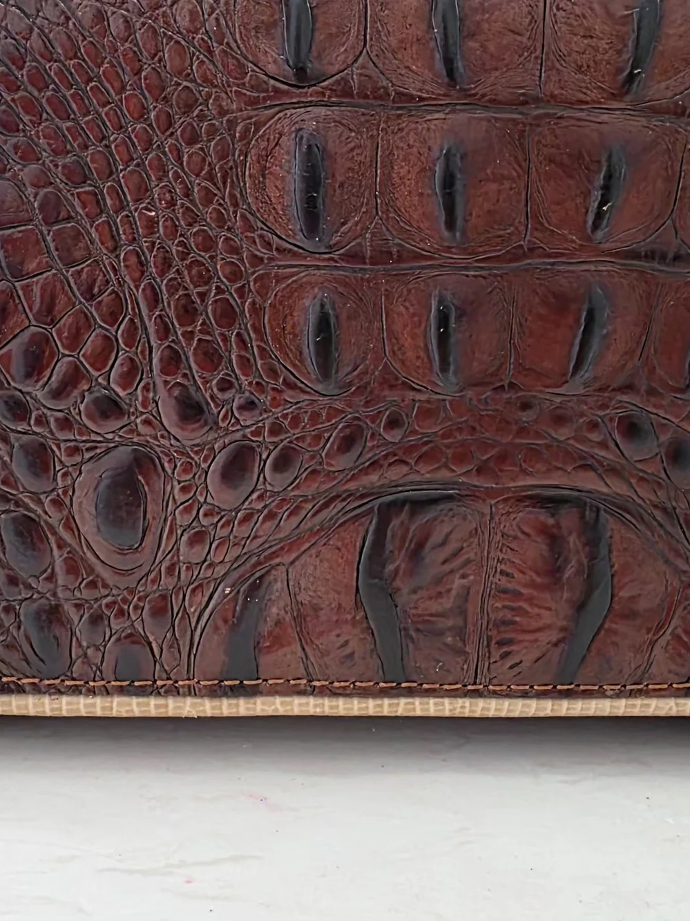 Brahmin Croc-Embossed Leather Satchel in Dark Brown and Tan